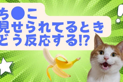 ビデオで男性のナニを見せられてるときのリアクション例25選！上手に反応して稼ごう